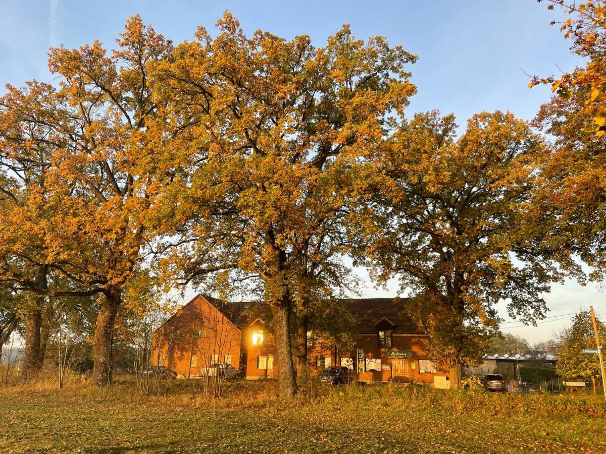 Eichenhof Hotel Garni Gross Koris Exterior photo